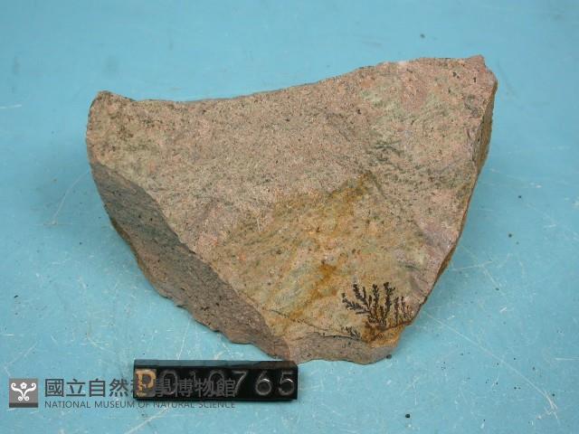 白崗岩藏品圖，第2張