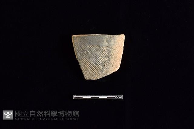 Accession Number:HLL-H PT0765 Collection Image, Figure 1, Total 2 Figures