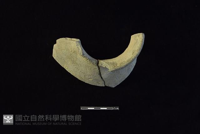 陶罐藏品圖，第1張