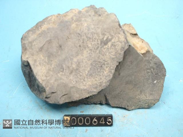 泥岩藏品圖，第5張