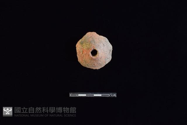 Accession Number:HLL-L-PT0245 Collection Image, Figure 1, Total 2 Figures