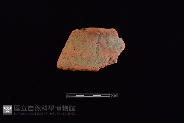 陶罐藏品圖，第1張