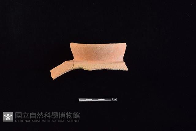 陶罐藏品圖，第1張