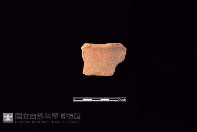 陶片藏品圖，第1張