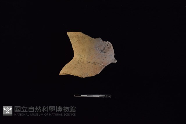 陶罐藏品圖，第1張