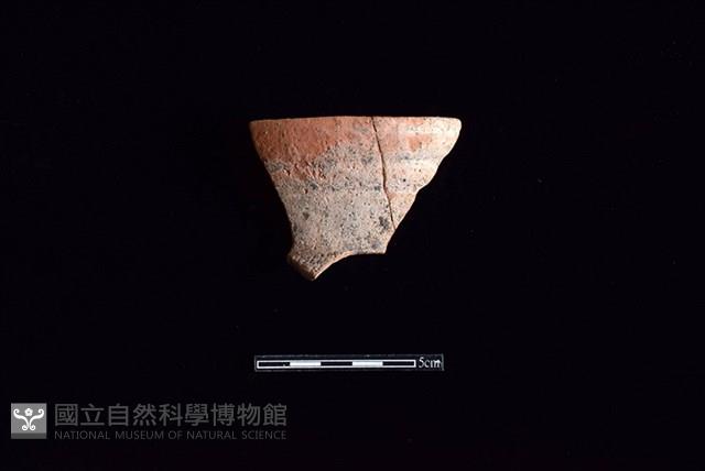 陶罐藏品圖，第1張