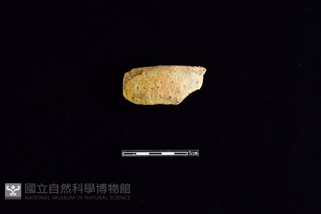 陶罐藏品圖，第1張