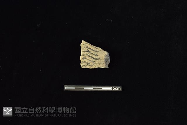 陶片藏品圖，第1張