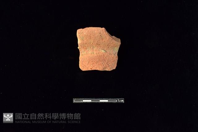 連杯形器藏品圖，第1張