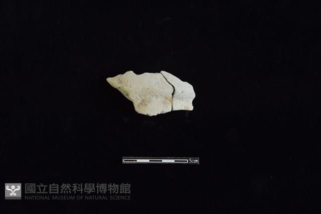 陶片藏品圖，第1張