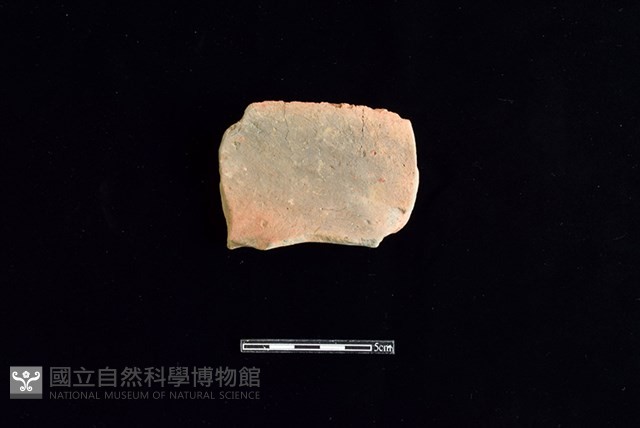 連杯形器藏品圖，第1張