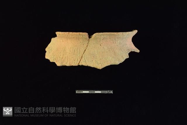 陶罐藏品圖，第1張