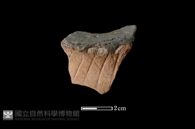 陶片藏品圖，第1張