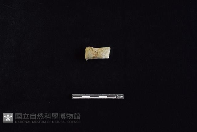 陶把藏品圖，第1張