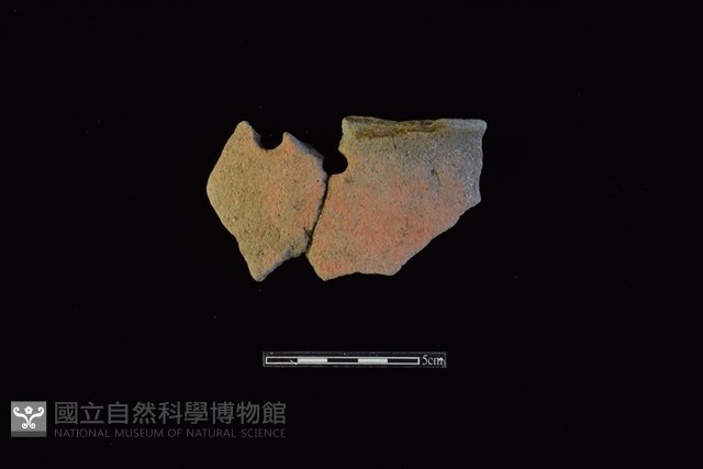 陶片藏品圖，第1張