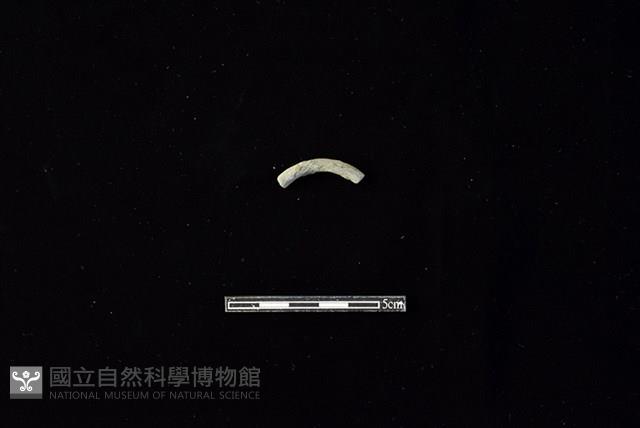 陶環藏品圖，第1張