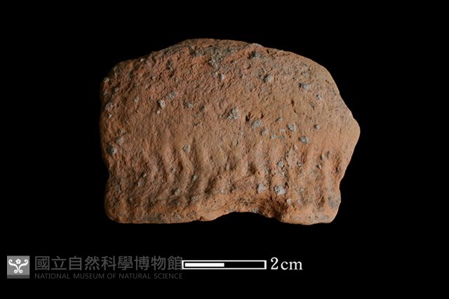陶罐藏品圖，第1張
