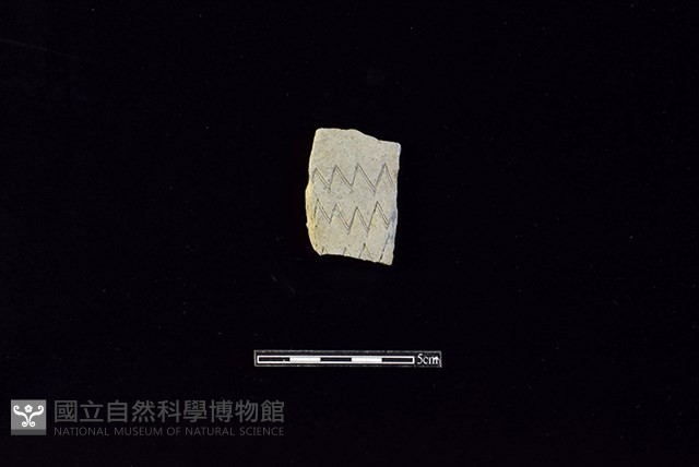 陶片藏品圖，第1張