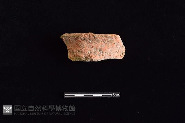 陶罐藏品圖，第1張