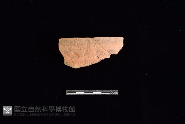 陶罐藏品圖，第1張