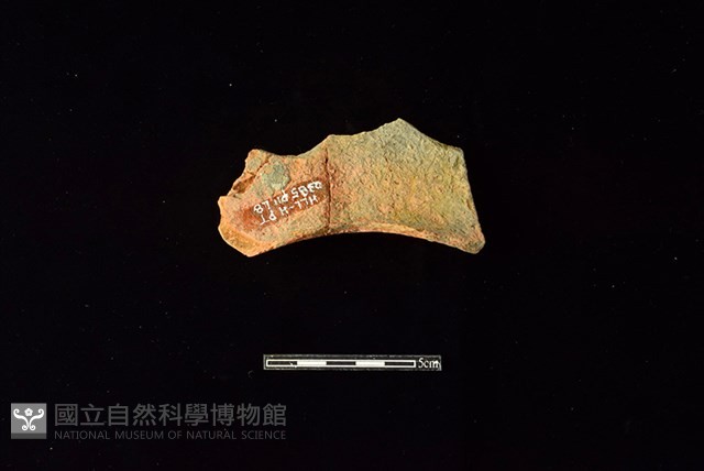 連杯形器藏品圖，第1張