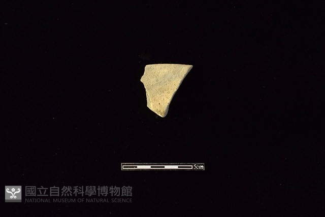 陶罐藏品圖，第1張