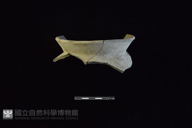 陶罐藏品圖，第1張