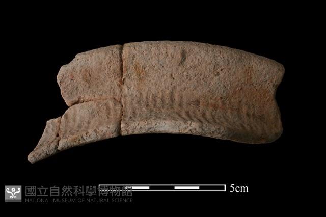 陶罐藏品圖，第1張