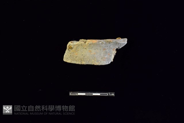陶片藏品圖，第1張