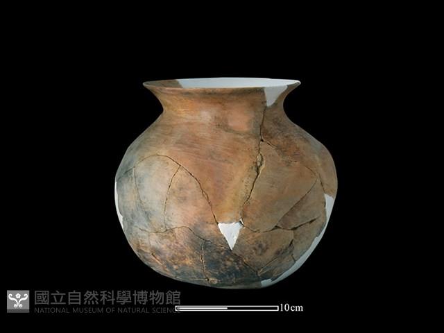 陶罐藏品圖，第1張