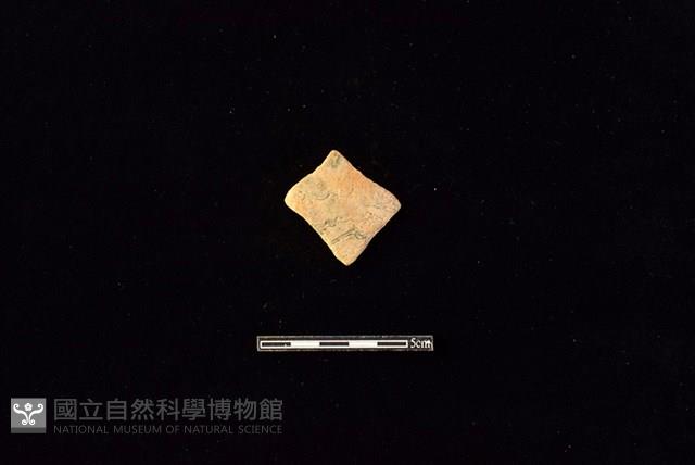 陶片藏品圖，第1張