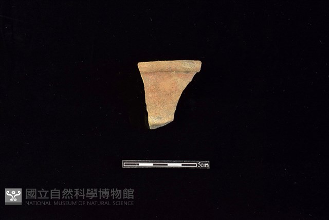 陶罐藏品圖，第1張
