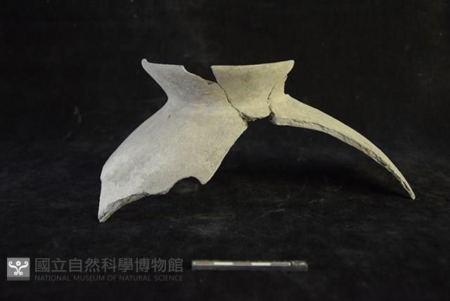 陶罐藏品圖，第1張