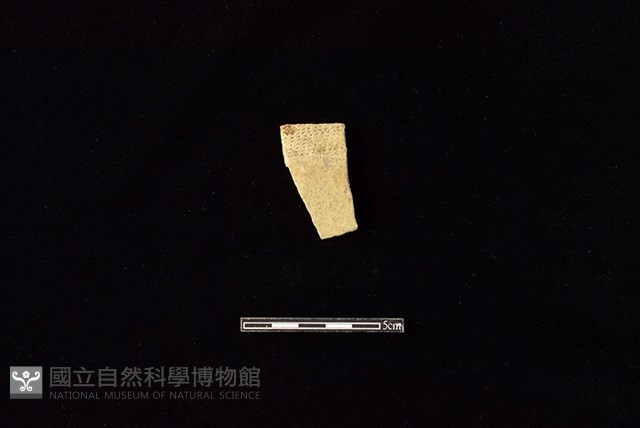 陶片藏品圖，第1張