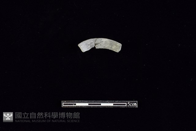 陶環藏品圖，第1張
