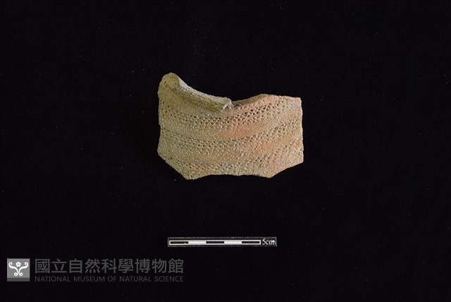 陶罐藏品圖，第1張