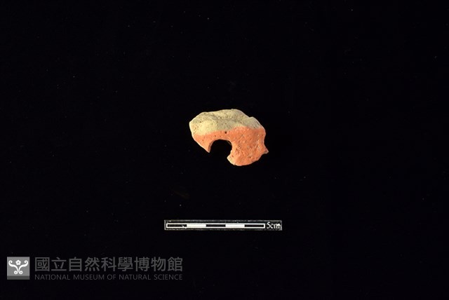 陶片藏品圖，第1張