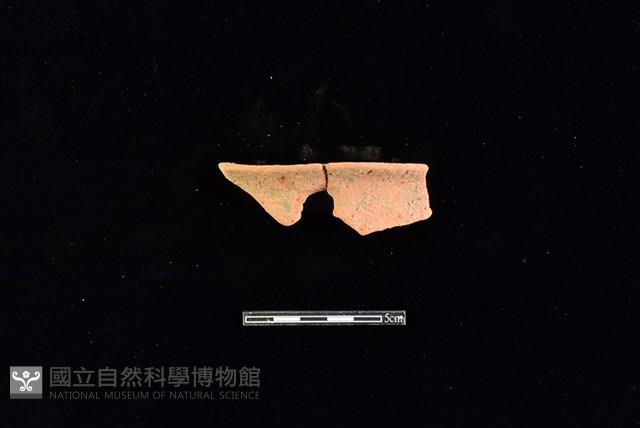 陶片藏品圖，第1張