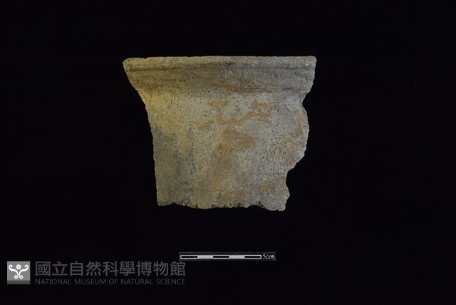 陶罐藏品圖，第1張