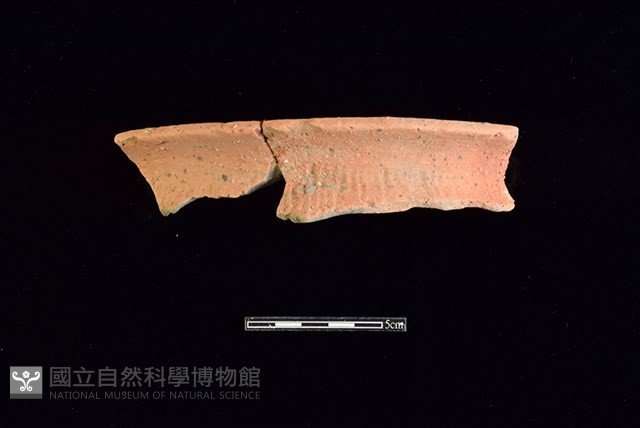 陶罐藏品圖，第1張