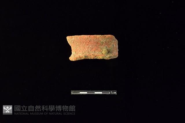 陶罐藏品圖，第1張