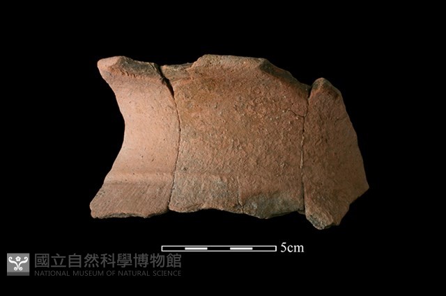 陶罐藏品圖，第1張