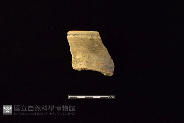 陶罐藏品圖，第1張