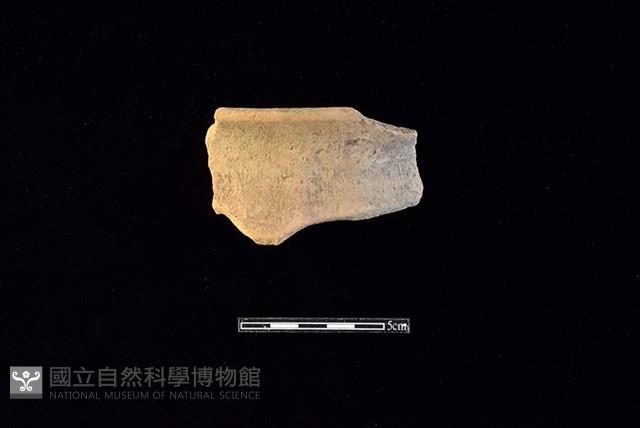 陶罐藏品圖，第1張