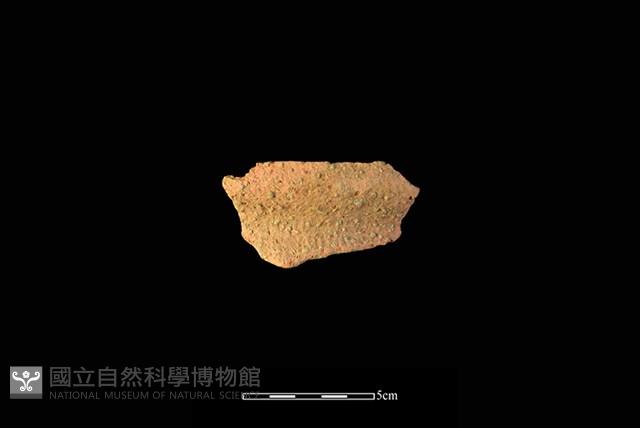 陶罐藏品圖，第1張