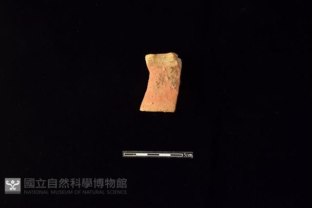 陶片藏品圖，第1張