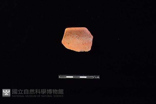 陶片藏品圖，第1張