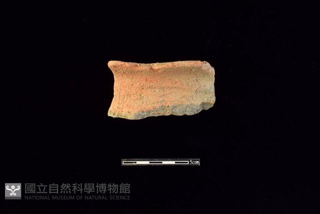 陶罐藏品圖，第1張