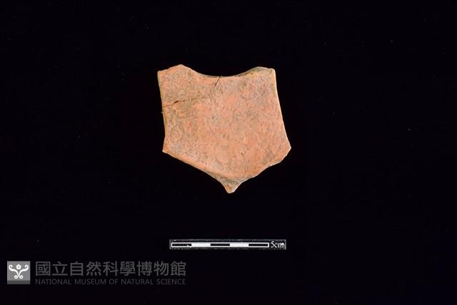 Accession Number:HLL-H PT1019 Collection Image, Figure 1, Total 2 Figures