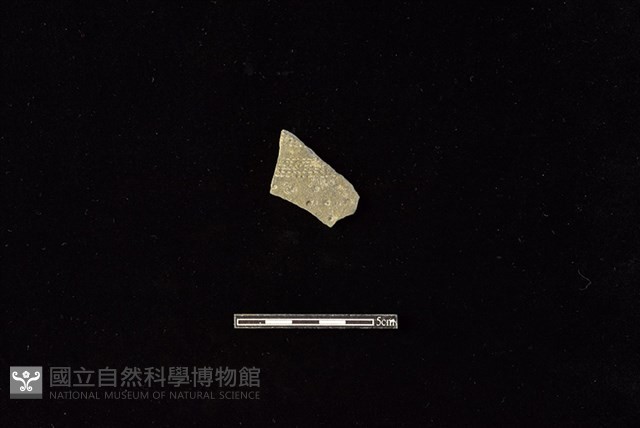 陶片藏品圖，第1張